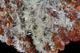 Hemimorphite Crystal Cluster - Chihuahua, Mexico #81124-1